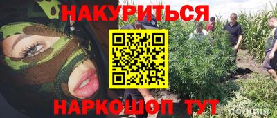 PSILOCYBIN Бугуруслан