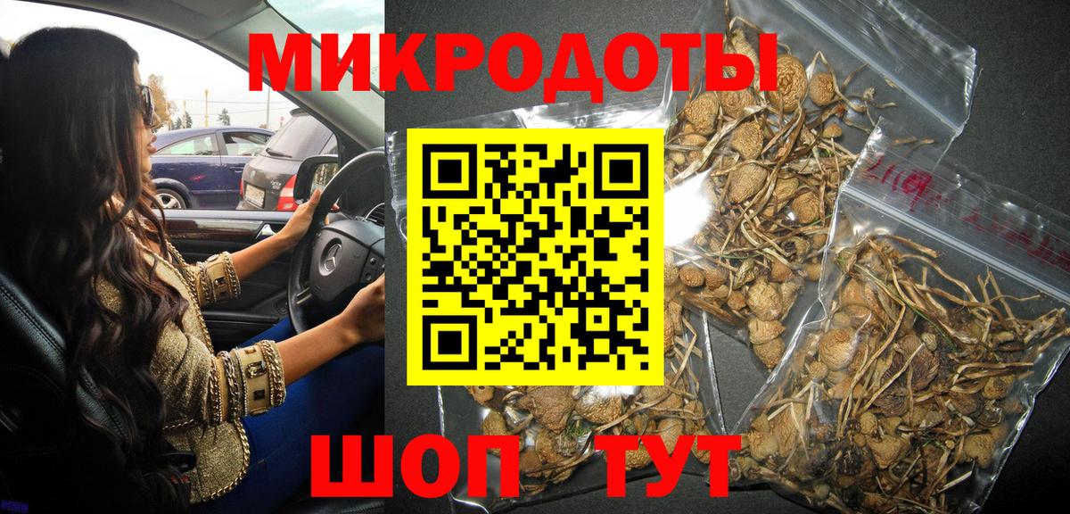 Галлюциногенные грибы Cubensis Протвино