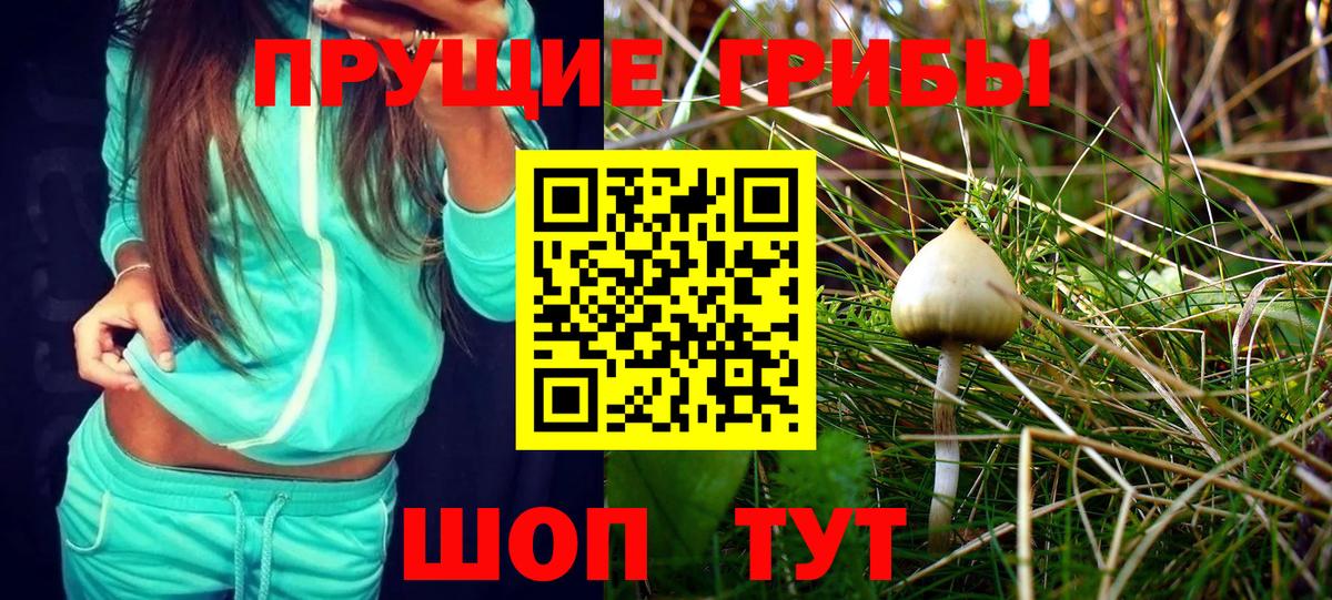 Протвино  Псилоцибиновые грибы GOLDEN TEACHER  Вход с VPN 